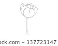 Continuous One Line Drawing of Tulip Flower eps10 137723147