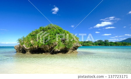 卡比拉灣的蔚藍大海和波濤景色 卡比拉灣的蔚藍大海和波濤景色 137723171