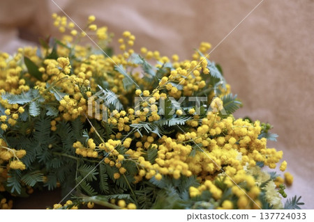 含羞草花環 含羞草花環 137724033