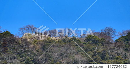 冬天的鳥取久松公園 冬天的鳥取久松公園 137724682