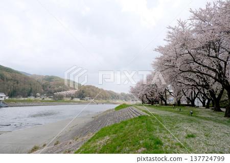 Tenryu River east of Minowa Tenryu Park, Minowa Town, Kamiina District, Nagano Prefecture, April 2023 Tenryu River east of Minowa Tenryu Park, Minowa Town, Kamiina District, Nagano Prefecture, April 2023 137724799