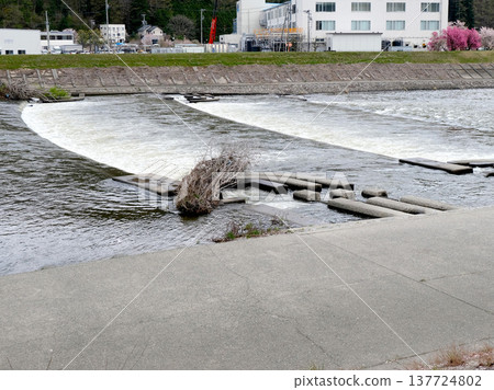 Tenryu River east of Minowa Tenryu Park, Minowa Town, Kamiina District, Nagano Prefecture, April 2023 Tenryu River east of Minowa Tenryu Park, Minowa Town, Kamiina District, Nagano Prefecture, April 2023 137724802