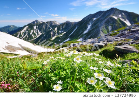 Tateyama Alpine Route Summer Mountain Traverse Tateyama Alpine Route Summer Mountain Traverse 137724990