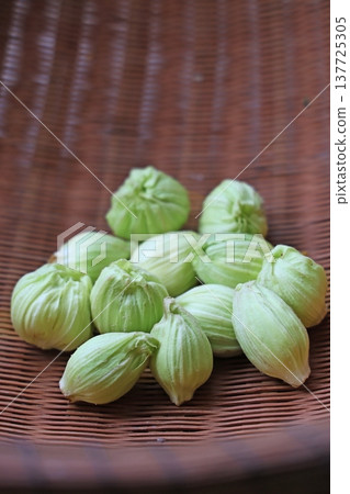 野菜(Fukinooto) 野菜(Fukinooto) 137725305