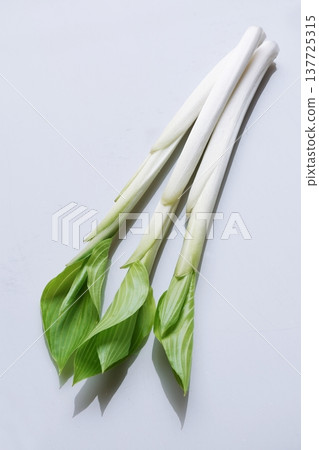 野生蔬菜（烏魯伊） 137725315