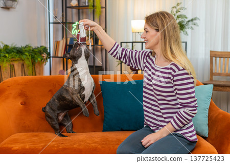 Middle-aged woman with dog plays tug of war rope ball pet resists pull woman guides gentle training Middle-aged woman with dog plays tug of war rope ball pet resists pull woman guides gentle training 137725423