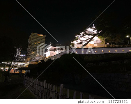 Streetscape in front of Fukuyama Station and illuminated night view of Fukuyama Castle (Fukuyama City, Hiroshima Prefecture) 137725551