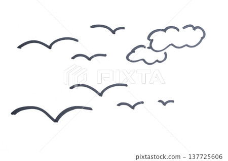 birds flying in the sky drawn with a marker birds flying in the sky drawn with a marker 137725606