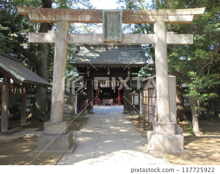 Minato Ward, Tokyo! The torii gate and cherry blossom gate of Akasaka Hikawa Shrine. Minato Ward, Tokyo! The torii gate and cherry blossom gate of Akasaka Hikawa Shrine. 137725922