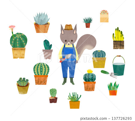 松鼠和仙人掌 松鼠和仙人掌 137726293