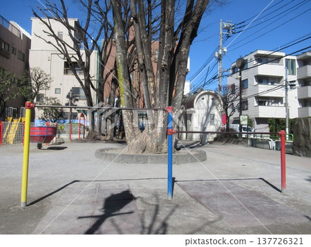 Yanaka Shimizucho Park 137726321