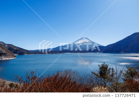 早春時節,從山梨縣本棲湖眺望富士山 早春時節,從山梨縣本棲湖眺望富士山 137726471