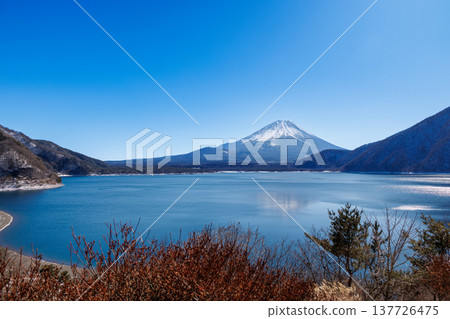 早春時節，從山梨縣本棲湖眺望富士山 137726475