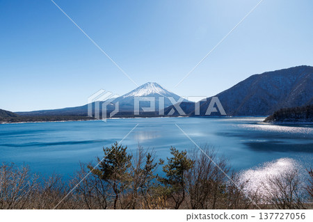 早春時節，從山梨縣本棲湖眺望富士山 137727056