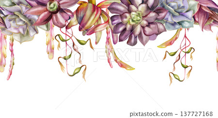 Watercolor echeveria, Leucadendron protea rosette succulents with cascading vines of exotic Billbergia bromeliad, Kimnachia cactus. Seamless banner hand drawn in watercolor. Plant shop promotions Watercolor echeveria, Leucadendron protea rosette succulents with cascading vines of exotic Billbergia bromeliad, Kimnachia cactus. Seamless banner hand drawn in watercolor. Plant shop promotions 137727168