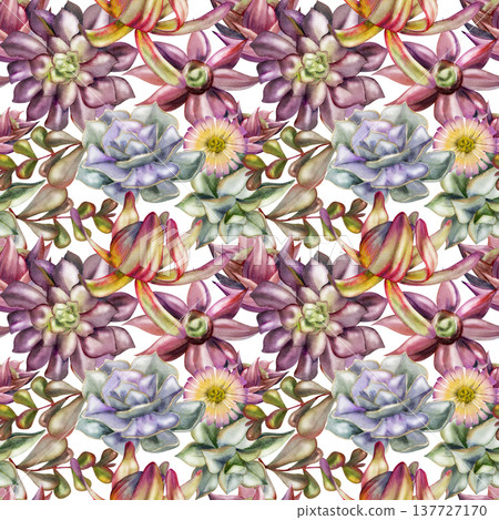 Decorative rosette succulents, Leucadendron protea, daisy flowers. Isolated illustration hand drawn in watercolor. Seamless botanical pattern. Apparel prints, home textiles, eco lifestyle merchandise. 137727170