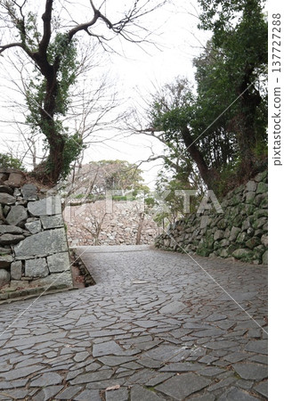 2024年，福岡，福岡市，風景，中央區，城內，福岡城，福岡城遺址，第94部分 137727288
