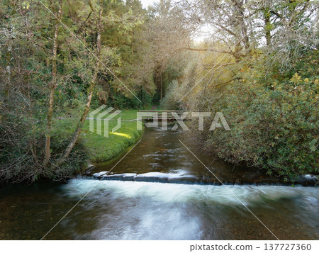 Calm river with small waterfalls and a bridge surrounded by trees. 137727360