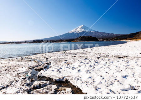 View of Mount Fuji from the shores of Lake Kawaguchi in early spring at Kawaguchiko Oishi Park. View of Mount Fuji from the shores of Lake Kawaguchi in early spring at Kawaguchiko Oishi Park. 137727537