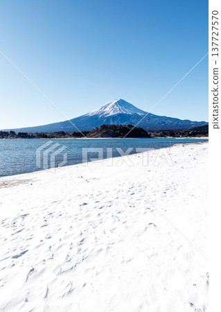 早春時節，從河口湖畔的河口湖大石公園眺望富士山。 137727570