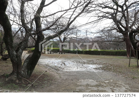 2024年,福岡,福岡市,風景,中央區,城內,福岡城,福岡城遺址,第96部分 2024年,福岡,福岡市,風景,中央區,城內,福岡城,福岡城遺址,第96部分 137727574