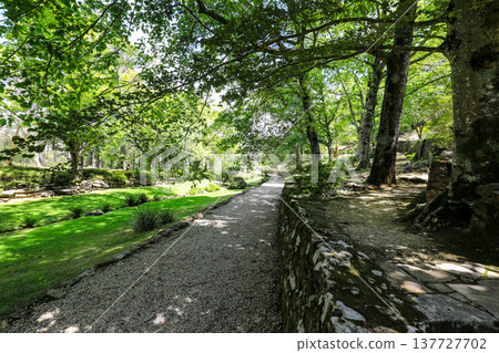 Scenic view across Everglades Gardens in the Blue Mountains of New South Wales, Australia, showing landscaped gardens, pathways and surrounding mountain scenery. Scenic view across Everglades Gardens in the Blue Mountains of New South Wales, Australia, showing landscaped gardens, pathways and surrounding mountain scenery. 137727702