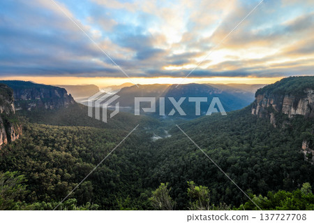 Sunrise light illuminating the Grose Valley viewed from Govetts Leap Lookout in the Blue Mountains of New South Wales, Australia, with cliffs, forested valley and morning sky. 137727708