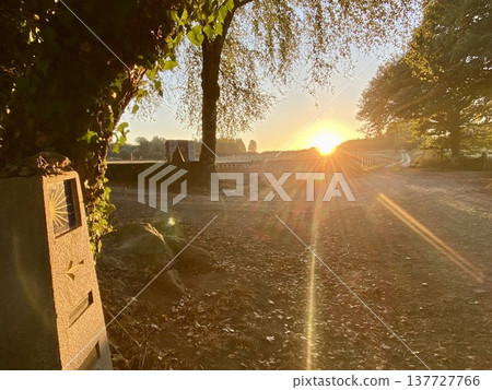 The sunrise on the Camino de Santiago in Spain: Pilgrim markers and scallop shell emblems bathed in the morning sun. The sunrise on the Camino de Santiago in Spain: Pilgrim markers and scallop shell emblems bathed in the morning sun. 137727766