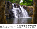 Rochester Falls Cascading Over Basalt Columns in Mauritius 137727767