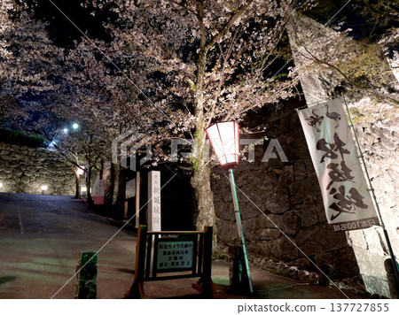 松阪城遺址,三重縣松阪市 - 夜櫻 10 - 2023年4月 松阪城遺址,三重縣松阪市 - 夜櫻 10 - 2023年4月 137727855