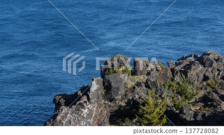 Scenery of Jogasaki coast 137728082