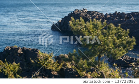 Scenery of Jogasaki coast 137728083