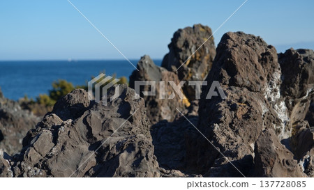 Scenery of Jogasaki coast 137728085