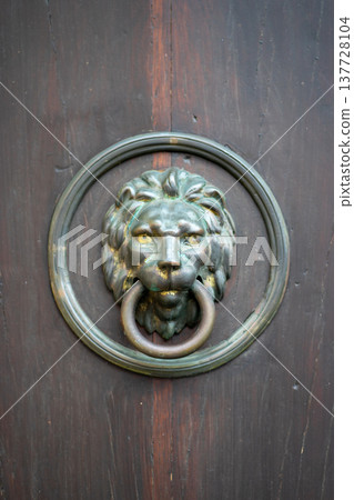 View of a street door handle in the shape of a lion 137728104