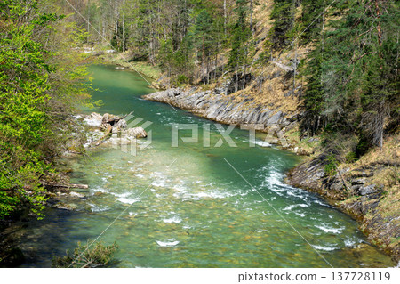 Mountain river among dense Alpine forest in Wasserlochklamm-Palfau park, Austria Mountain river among dense Alpine forest in Wasserlochklamm-Palfau park, Austria 137728119