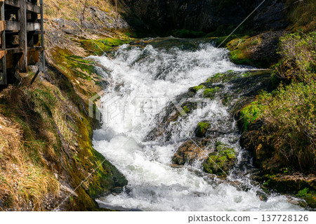 View of the cascades of a mountain river between the Alpine mountains View of the cascades of a mountain river between the Alpine mountains 137728126