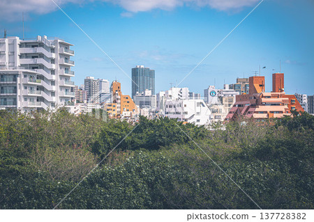 通往沖繩新市中心的輕鬆街景 137728382
