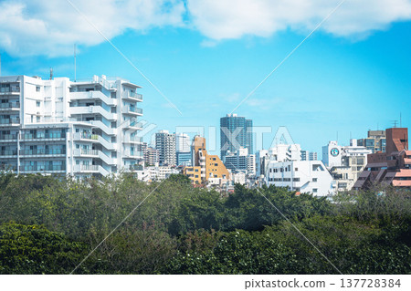 通往沖繩新市中心的輕鬆街景 137728384