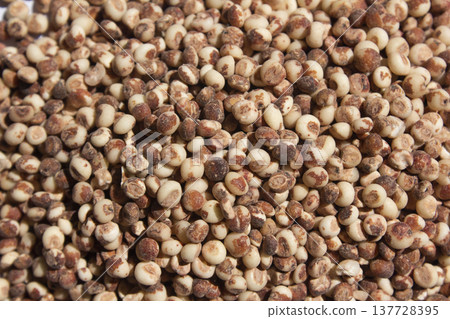 Here are some close-ups of many sorghum Here are some close-ups of many sorghum 137728395