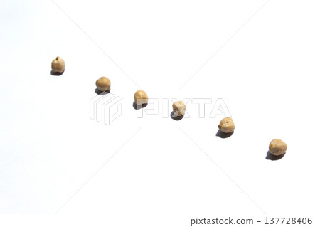 Chickpeas placed on a white background Chickpeas placed on a white background 137728406