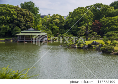 東京清澄白河的花園景觀 東京清澄白河的花園景觀 137728409