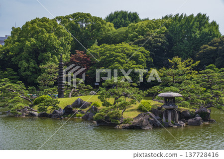 東京清澄白河的花園景觀 東京清澄白河的花園景觀 137728416