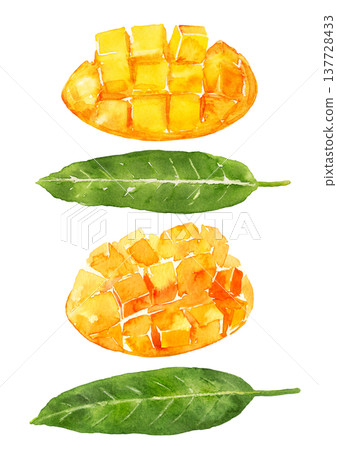 一幅手繪水彩插圖，描繪了切開的芒果及其葉子。 137728433