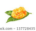 葉子上的切開的芒果 - 手繪水彩插圖 137728435
