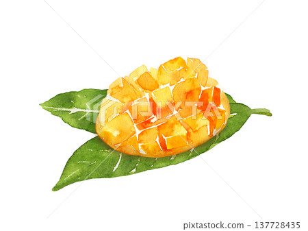 葉子上的切開的芒果 - 手繪水彩插圖 137728435