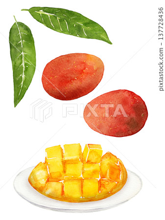 一組芒果果實和葉子，手繪水彩插圖。 137728436