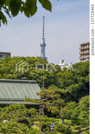 A scene from a garden in Kiyosumi-Shirakawa, Tokyo. 137728468