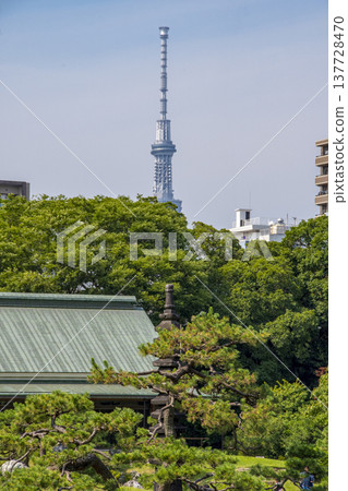 A scene from a garden in Kiyosumi-Shirakawa, Tokyo. 137728470