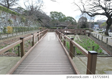 2024年,福岡,福岡市,風景,中央區,城內,福岡城,福岡城遺址,第101部分 2024年,福岡,福岡市,風景,中央區,城內,福岡城,福岡城遺址,第101部分 137728841