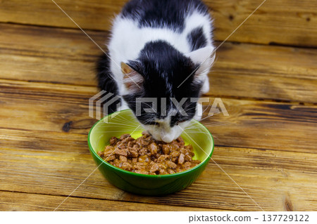 Kitten eating his food from ceramic bowl on wooden floor Kitten eating his food from ceramic bowl on wooden floor 137729122